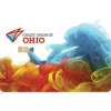 Young Adult Visa credit card