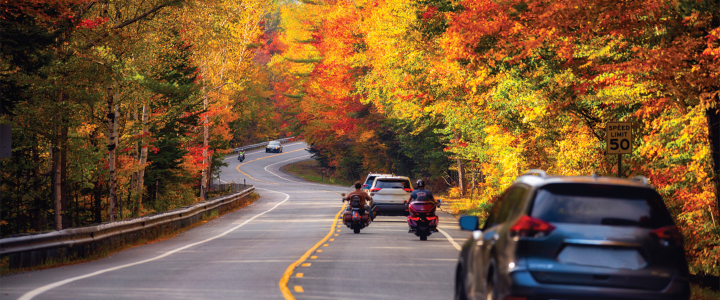 Vehicles on a road in fall