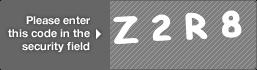 captcha code for visual authentication  letter Z number 2 letter R number 8
